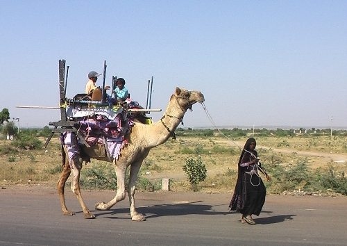 દિવાળી અને દેવદિવાળી... એ તમારે...